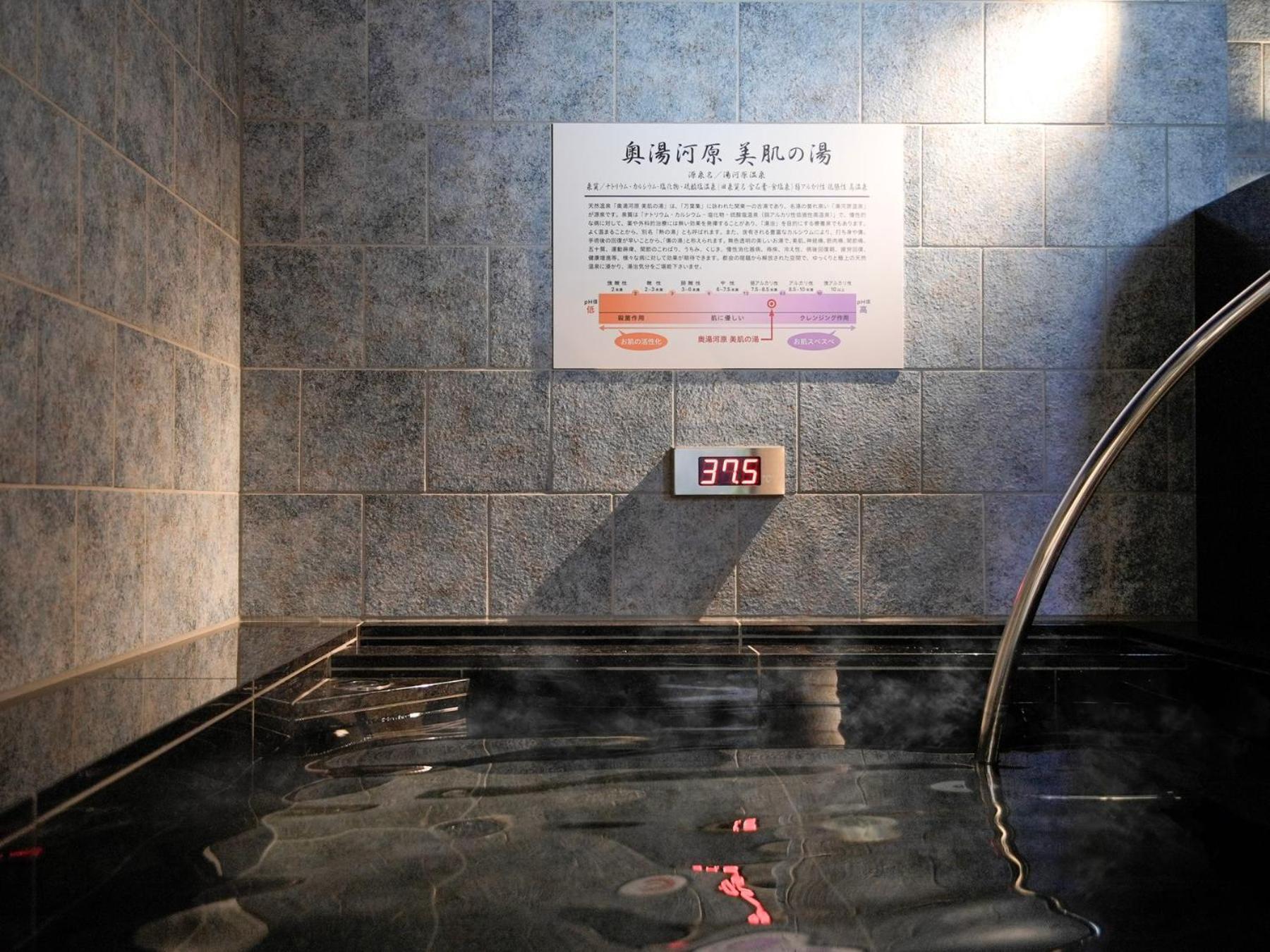 Super Premier Ikebukuro Natural Hot Spring 3* Tokio
